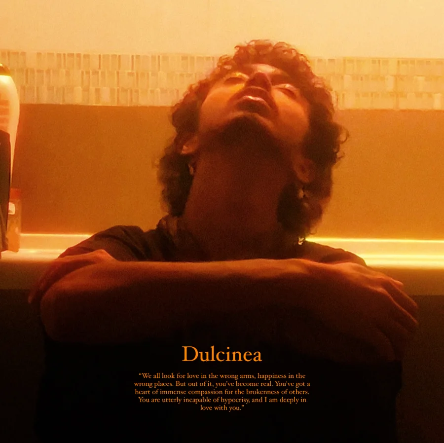 Dulcinea cover art